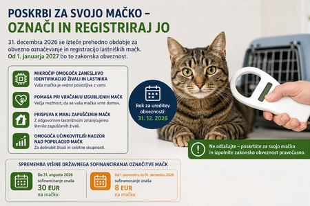 čipiranje mačk